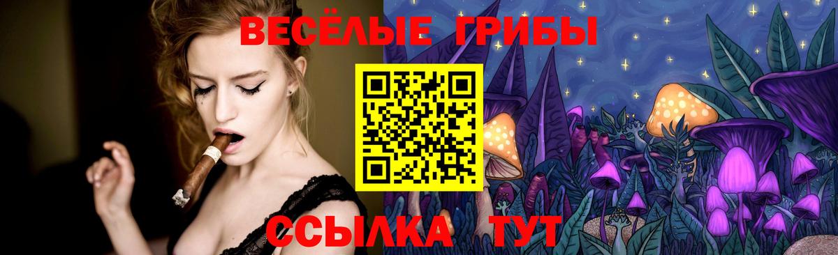Галлюциногенные грибы Psilocybine cubensis Златоуст